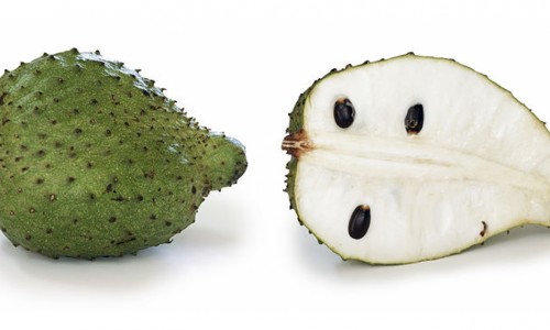 ΤΟ ΦΡΟΥΤΟ ΤΟΥ ΑΜΑΖΟΝΙΟΥ, ΠΟΥ ΜΕΛΕΤΑΤΑΙ ΓΙΑ ΤΟΝ ΚΑΡΚΙΝΟ