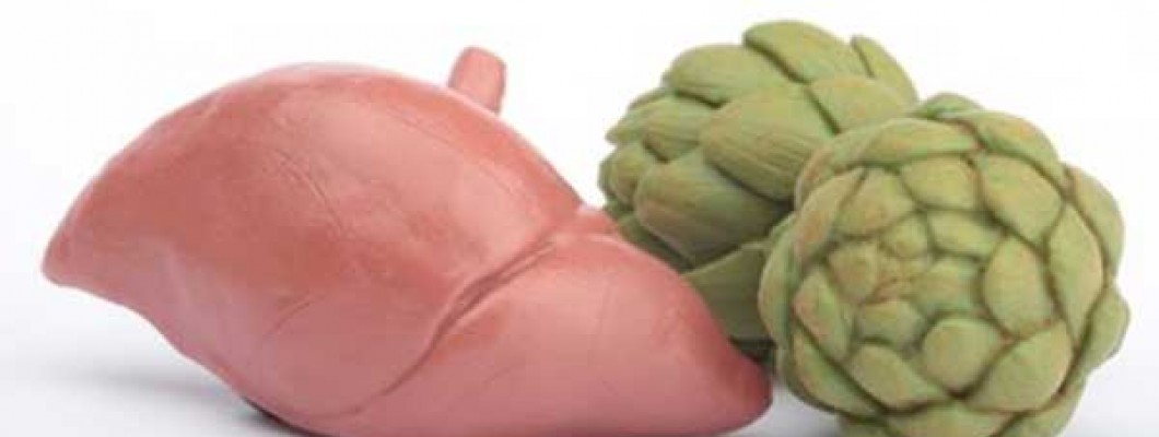 Αγκινάρα ωσμωτική & τα 8 οφέλη