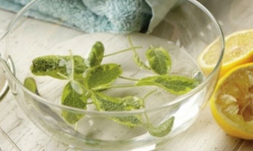 ΤΡΟΠΟΙ ΧΡΗΣΗΣ ΤΩΝ ΒΟΤΑΝΩΝ