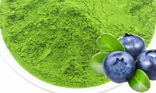 ΠΡΩΙΝΟ ΜΕ ΜΥΡΤΙΛΛΑ & ΤΣΑΪ ΜΑΤΣΑ ...