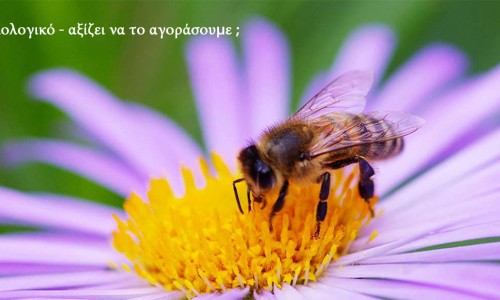 ΒΙΟΛΟΓΙΚΟ ΜΕΛΙ VS ΣΥΜΒΑΤΙΚΟΥ. ΠΟΙΕΣ ΟΙ ΔΙΑΦΟΡΕΣ ΤΟΥΣ