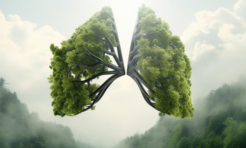 Τσάι αποτοξίνωσης των πνευμόνων