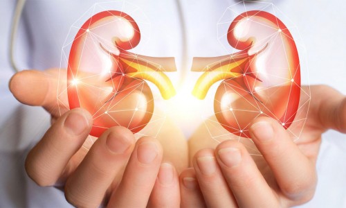 ΤΣΑΪ ΚΑΘΑΡΙΣΜΟΥ ΝΕΦΡΩΝ - ΟΔΗΓΙΕΣ ANDREAS MORITZ