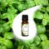 BASIL essential oil 10ml