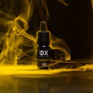 PHIX® Focus – Εξελιγμένη φυτοδραστική φόρμουλα για καθαρή σκέψη & συγκέντρωση