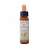 REVIVAL REMEDY ΑΝΘΟΙΑΜΑ BACH - 10ml