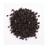 Elderberries (Sambucus nigra) dried