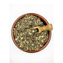 ΣΚΡΟΦΟΥΛΑΡΙΑ φυτό