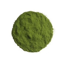 ΣΠΑΝΑΚΙ ΒΙΟΛΟΓΙΚΟ ΣΚΟΝΗ