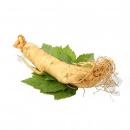 SUMA ROOT - SUMA ROOT POWDER 50gr.