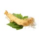 SUMA ROOT - SUMA ROOT POWDER 50gr. SUMA ROOT - SUMA ROOT POWDER 50gr.