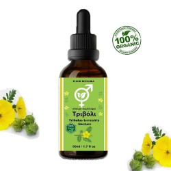 TRIBULUS TERRESTRIS TINCULAR (TRIBULUS TERRESTRIS) 50ml – 100% organic