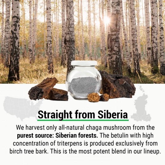 ΕΛΙΞΗΡΙΟ CHAGA  - Το Σιβηρικό "Μανιτάρι της Αθανασίας" 50ml - ισχυρό τονωτικό του ανοσοποιητικού