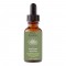 Wild Olive Leaf Tincture (Olea sylvestris) – Mani, Greece 50ml Wild Olive Leaf Tincture (Olea sylvestris) – Mani, Greece 50ml