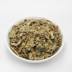 ΑΛΧΗΜΙΛΛΗ φύλλα