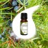 ARCEAU (WILD CYPRESS) essential oil 10ml