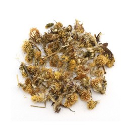 ΒΗΧΙΟ ΤΟΥΣΙΛΑΓΚΟ άνθη