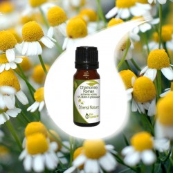 CHAMOMILE 5% essential oil 10ml CHAMOMILE 5% essential oil 10ml