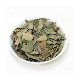 ΔΕΣΜΟΔΙΟ (Desmodium) φύλλα