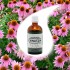 Echinacea Tincture 50ml