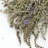 FLISKOUNI (WILD MINT) bunch (Greek)