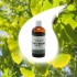 GINGKO BILOBA TIN 50ml