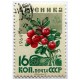 WILD MOUNTAIN CRANBERRY - OSMOTIC BIO - 100% natural from the mountains of Northern Russia! WILD MOUNTAIN CRANBERRY - OSMOTIC BIO - 100% natural from the mountains of Northern Russia!