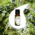 RED CEDAR essential oil 10ml