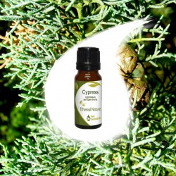 ΚΥΠΑΡΙΣΣΙ αιθέριο έλαιο 10ml