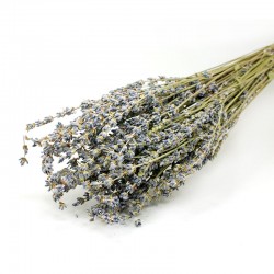 ΛΕΒΑΝΤΑ ΕΛΛΗΝΙΚΗ ματσάκι