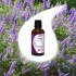 Wicker Tincture 50ml
