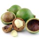 MACADAMIA OIL 50ml