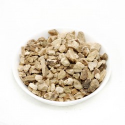 ΜΑΝΔΡΑΓΟΡΑΣ ρίζα