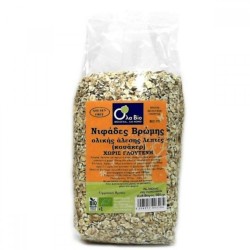 GLUTEN-FREE ORGANIC OAT FLAKES 300gr