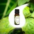 PATCHOULI essential oil 10ml