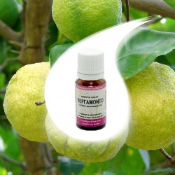 PERGAMON essential oil 10ml