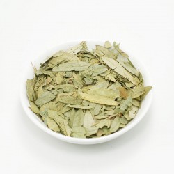 ΣΙΝΑΜΙΚΗ φύλλα