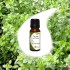 THYME essential oil 10ml