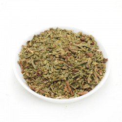 ΘΟΥΓΙΑ φυτό