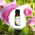 ROSE 5% essential oil in jojoba oil 10ml