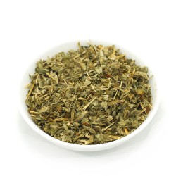 ΒΙΟΛΑ ΤΡΙΚΟΛΟΡ (ΠΑΝΣΕΣ) φυτό 