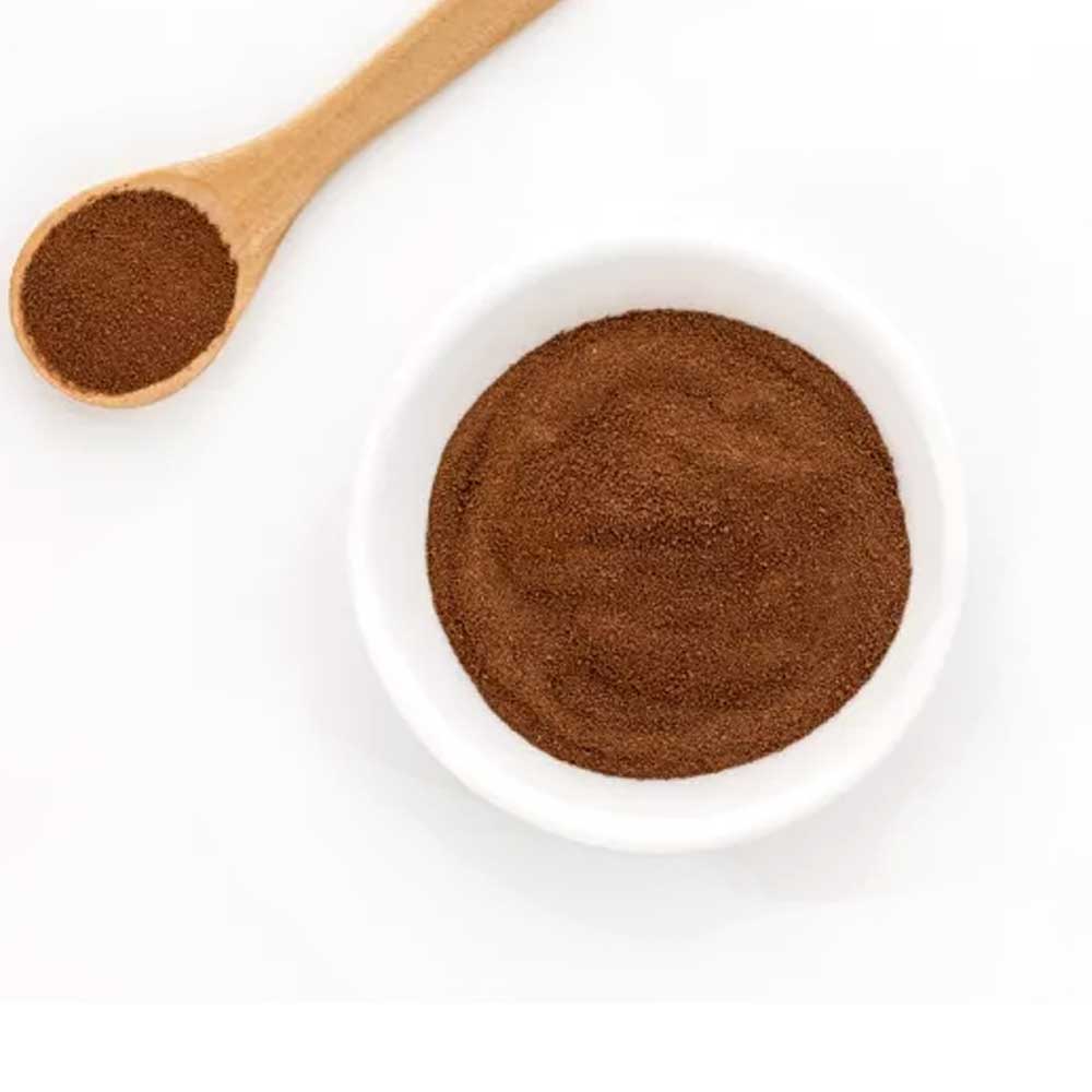 ΓΑΝΟΔΕΡΜΑ (REISHI) ΣΚΟΝΗ ΒΙΟ 100γρ.