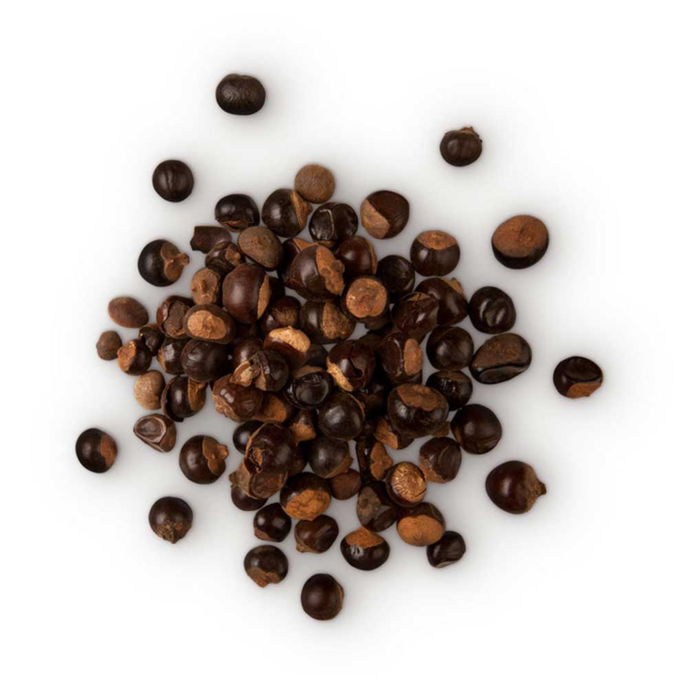 GUARANA whole fruit from Brazil