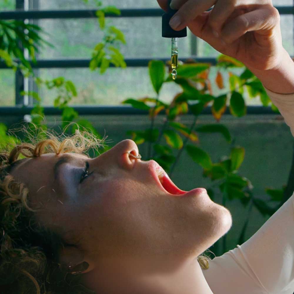 PHIX® Focus – Advanced phytoactive formula for clear thinking & concentration