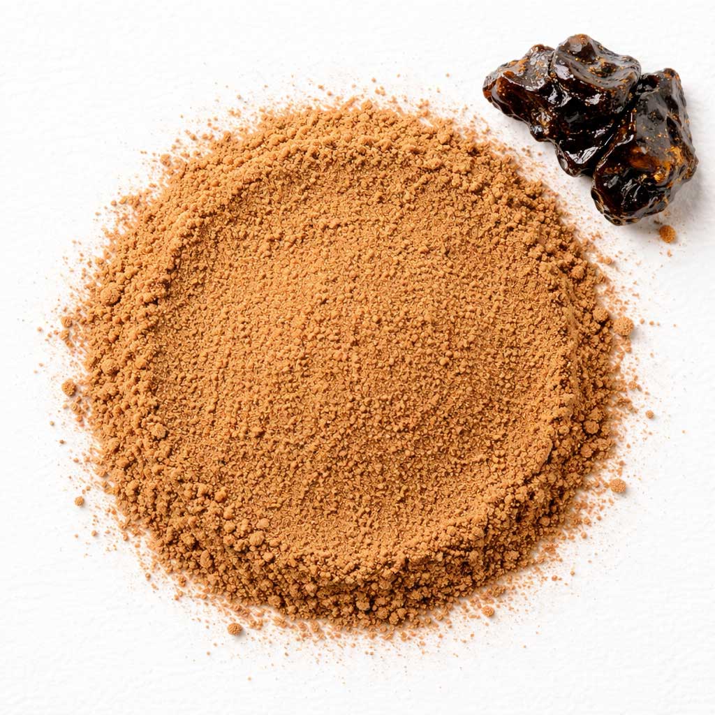 SHILAJIT εκχύλισμα σε σκόνη (20% fulvic acid) 80γρ.