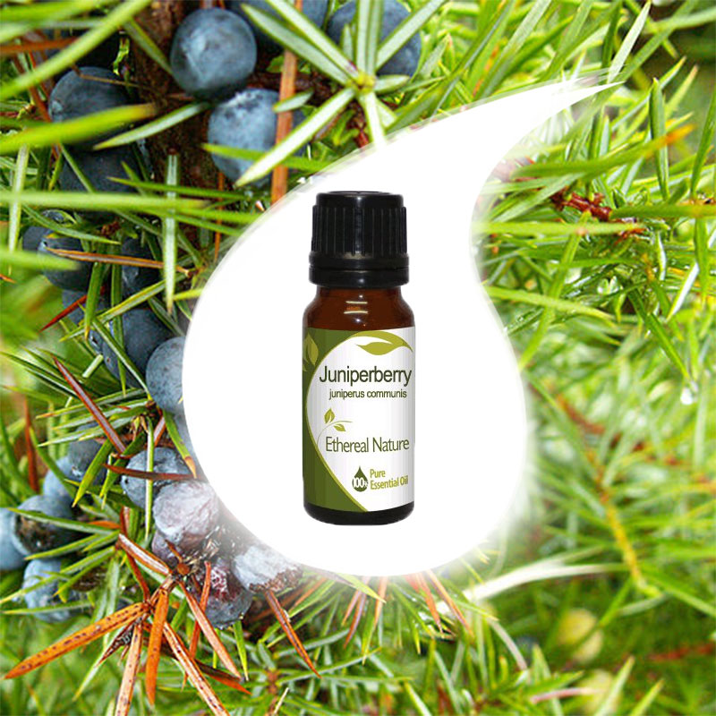 ARCEAU (WILD CYPRESS) essential oil 10ml