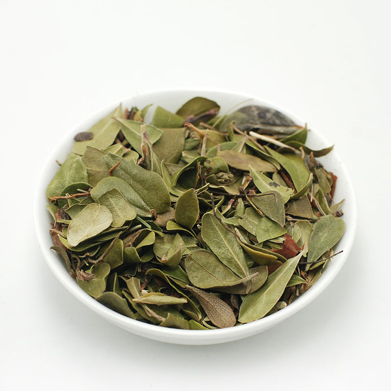 BEARGROWN (Uva ursi) leaves 