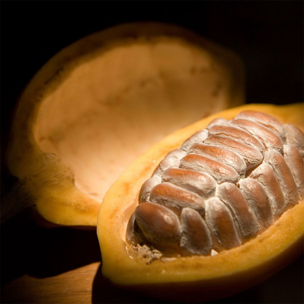 EDIBLE COCOA BUTTER IN DROPS BIO 200gr.