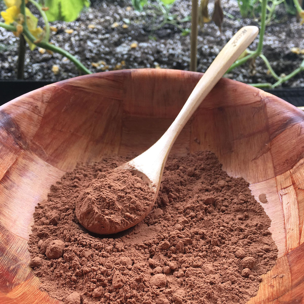 CRIOLLO RAW COCOA POWDER BIO