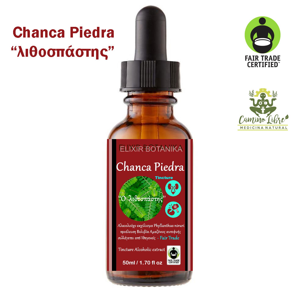CHANCA PIEDRA (Phyllanthus niruri) extract 50ml - the famous "lithosolvent" for kidney & gallstones!